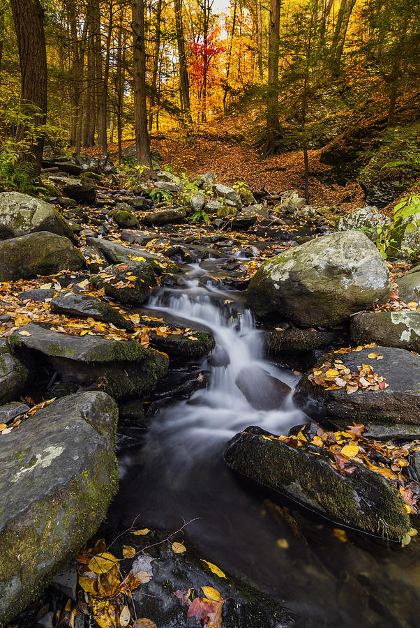Fall Photograph - Autumn glory at Bushkill Falls State Park Pennsylvania USA by Vishwanath Bhat
