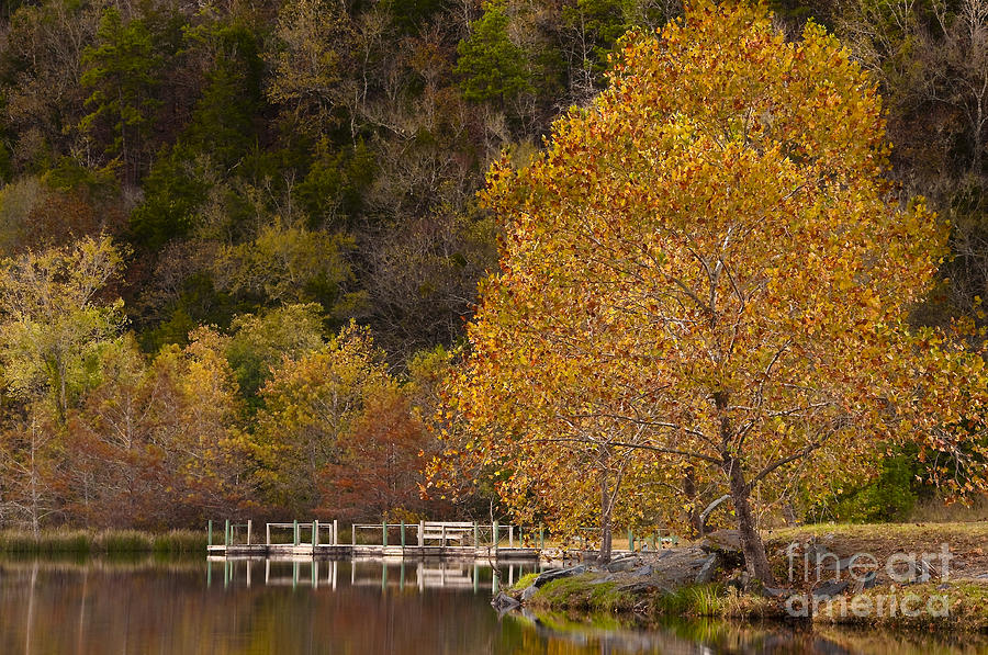 Autumn Glory in Beavers Bend Photograph by Tamyra Ayles