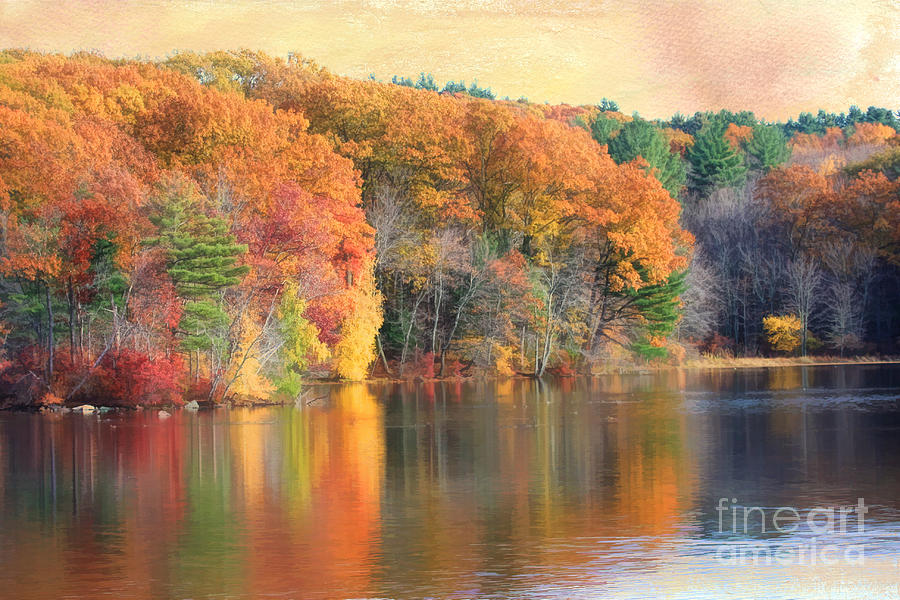 Autumn Glow Digital Art by Jayne Carney