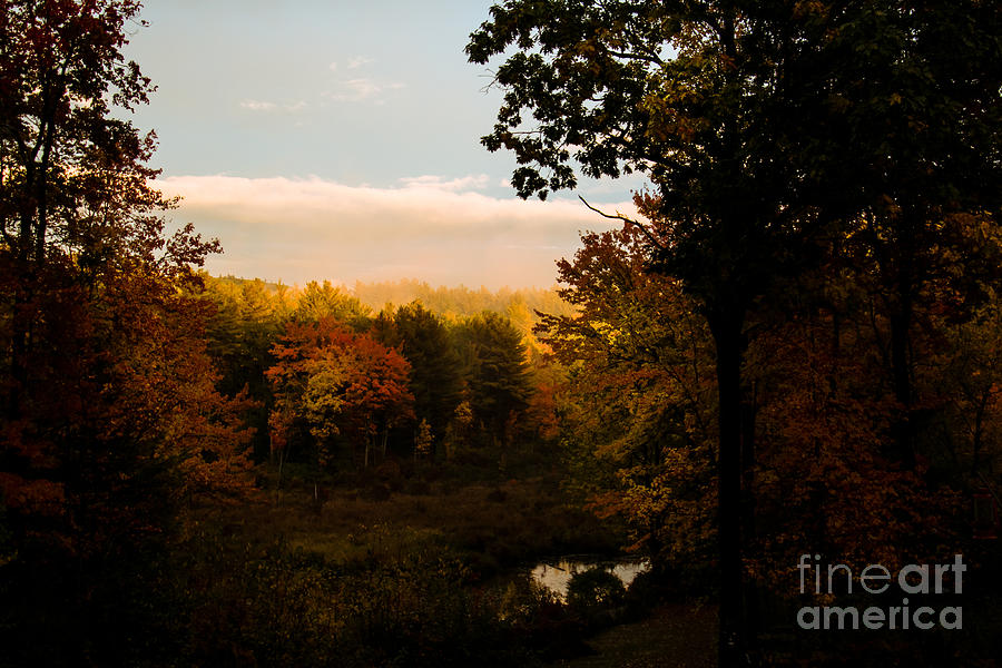 Autumn Glow Photograph by Mim White