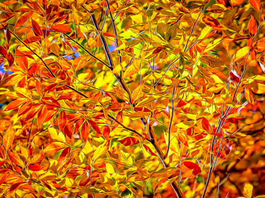 Autumn Gold And Red - Painted Photograph