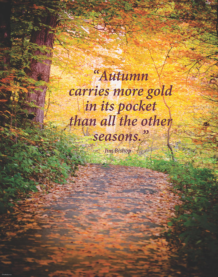 Autumn Gold Photograph by Debbie Karnes