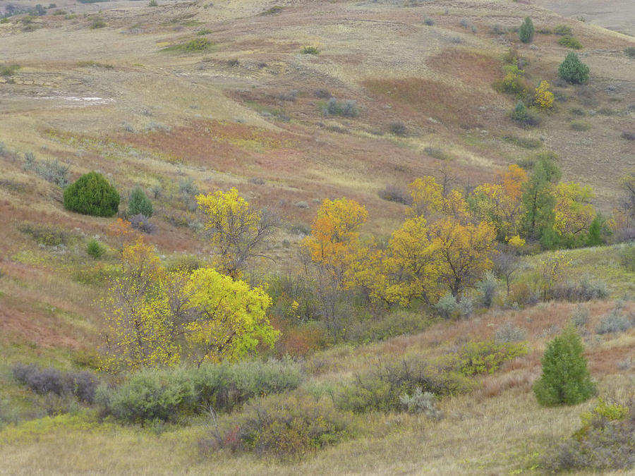 Autumn Grasslands Enchantment Photograph by Cris Fulton