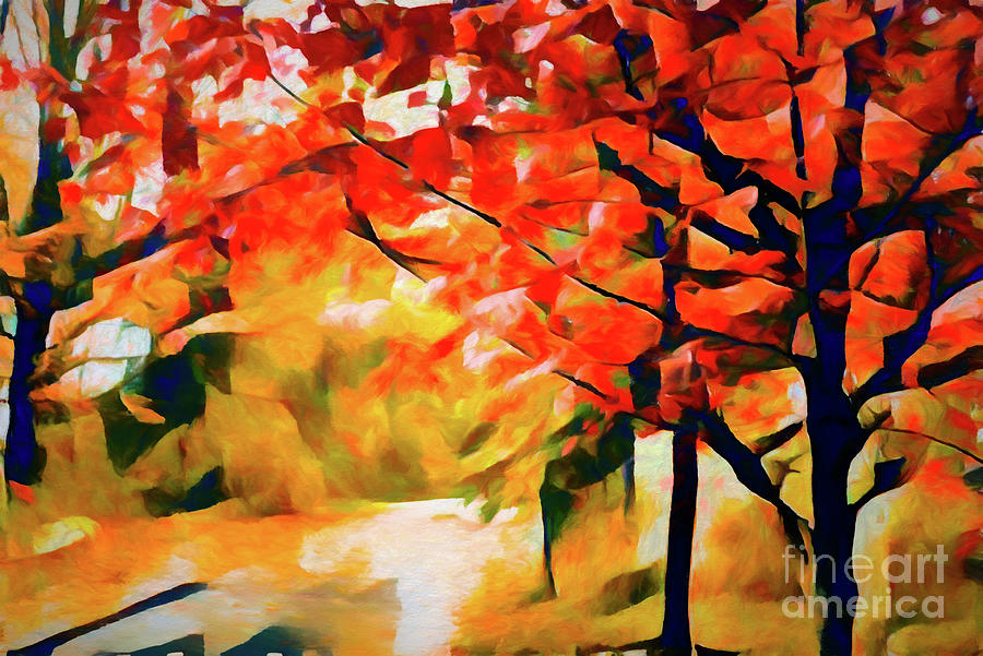 Glorious Foliage On The Rail Trail - Abstract Photograph by Anita Pollak