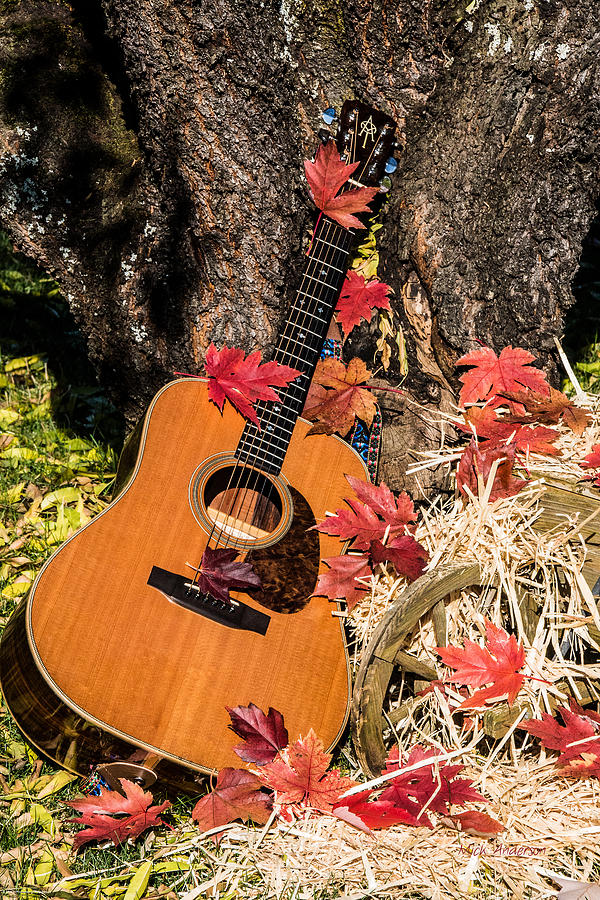 Autumn Guitar Photograph by Mick Anderson