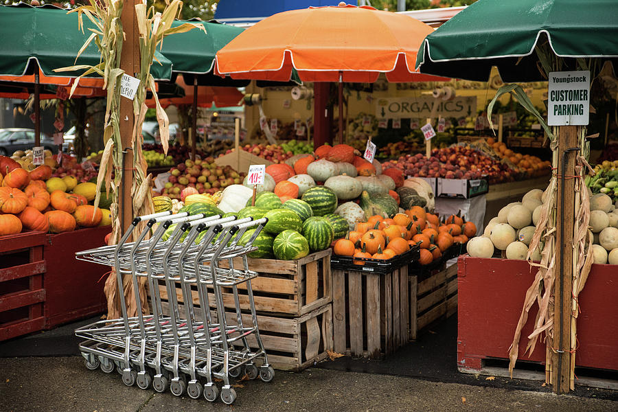 Autumn Harvest for Sale Photograph by Tom Cochran