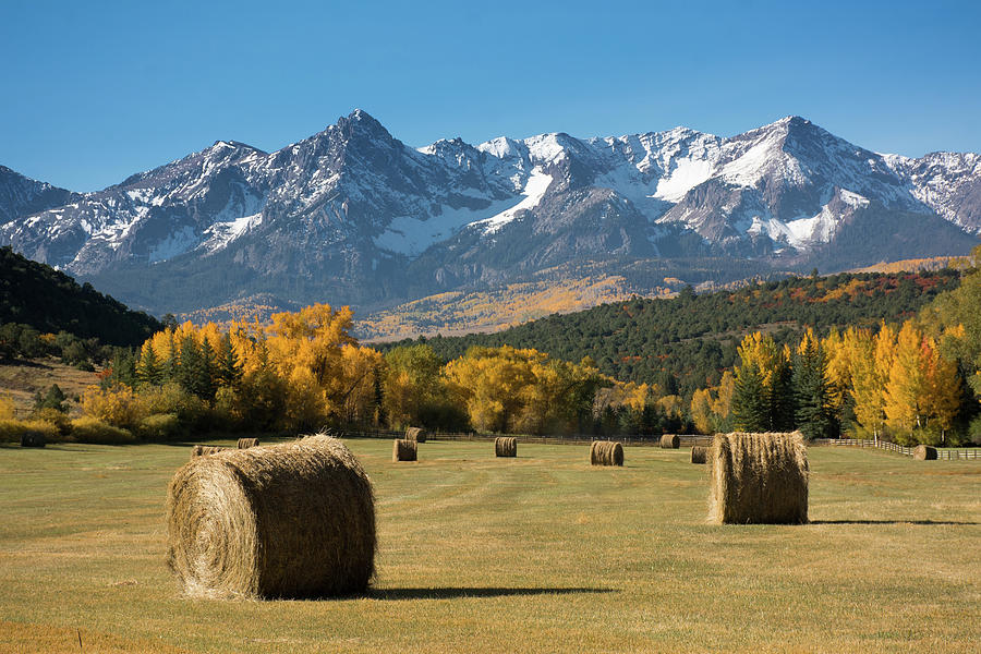 Landscape Photograph - Autumn Harvest In The Rockies by John Bartelt