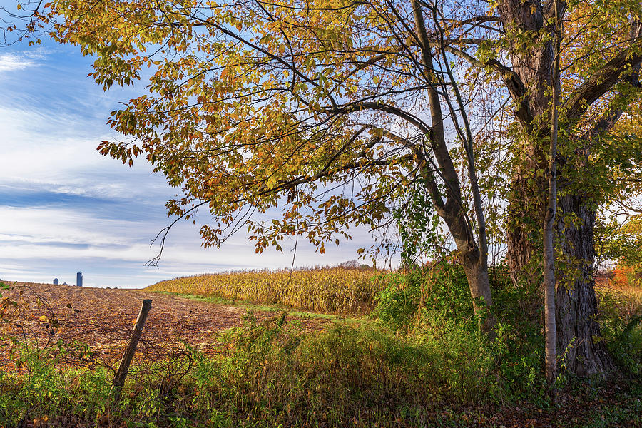 Fall Photograph - Autumn Harvest Landscape by Bill Wakeley