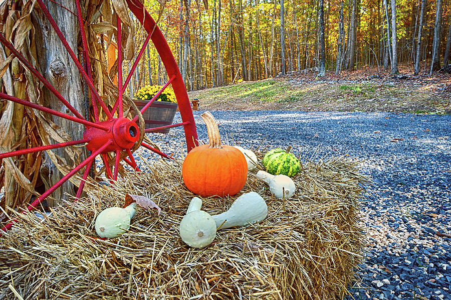 Autumn Harvest Photograph by Lara Ellis
