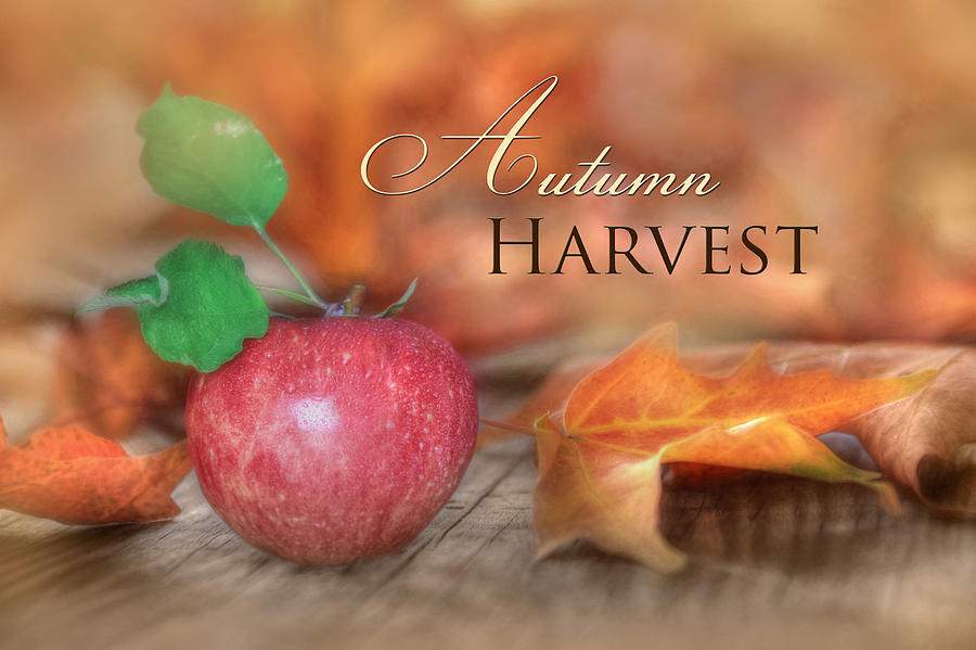 Apple Photograph - Autumn Harvest by Lori Deiter