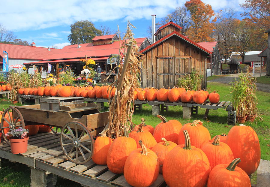 Autumn Harvest Pumpkins and Sugar House Photograph by John Burk