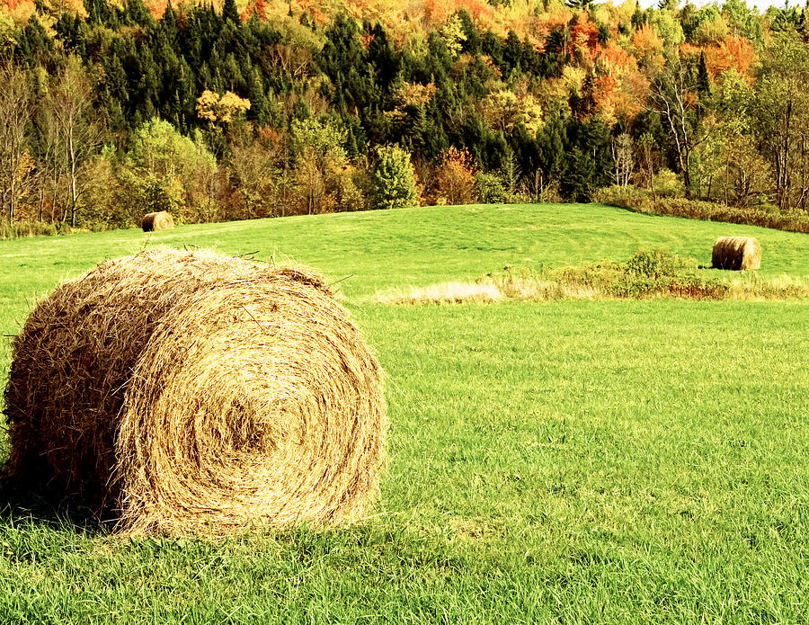 Autumn Hay Bales  Photograph by Sherry  Curry