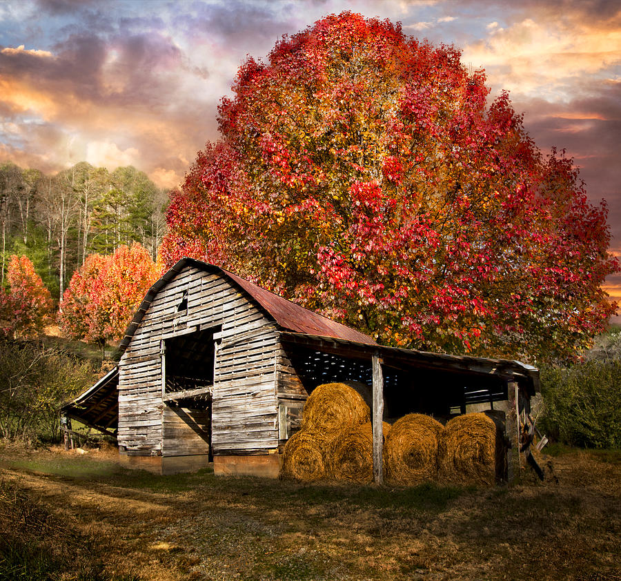 Barn Photograph - Autumn Hay Barn by Debra and Dave Vanderlaan