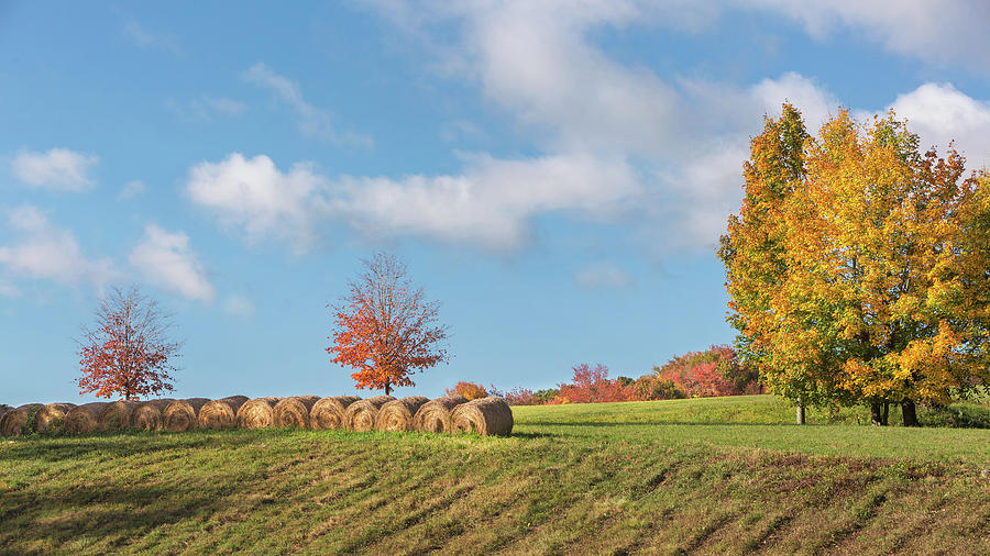 Fall Photograph - Autumn Hay by Bill Wakeley