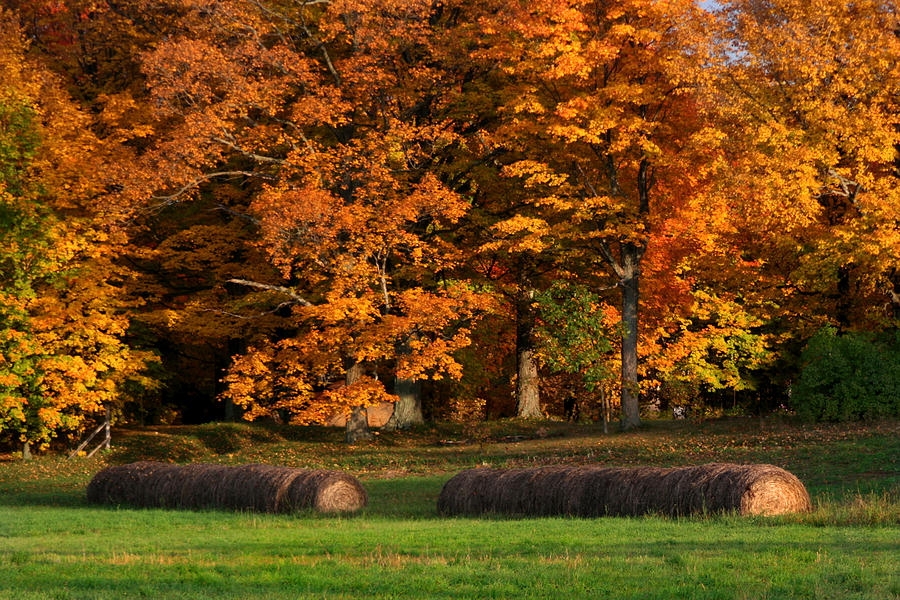 Autumn Hay Photograph by Brook Burling