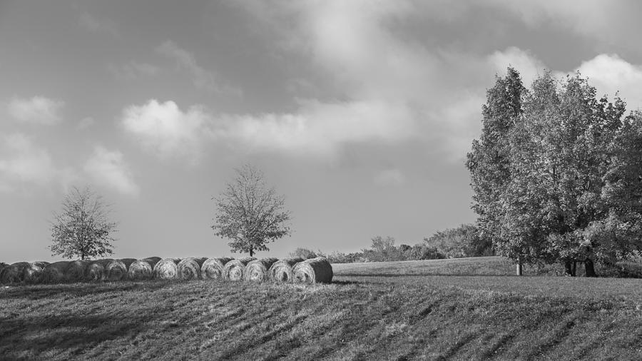 Autumn Hay bw Photograph by Bill Wakeley