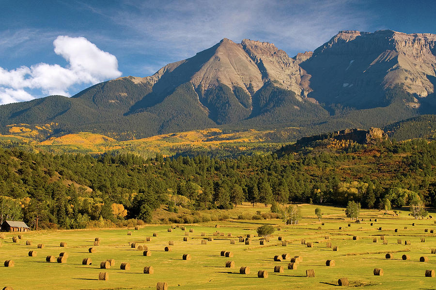 Autumn Hay in the Rockies Photograph by Steve Stuller