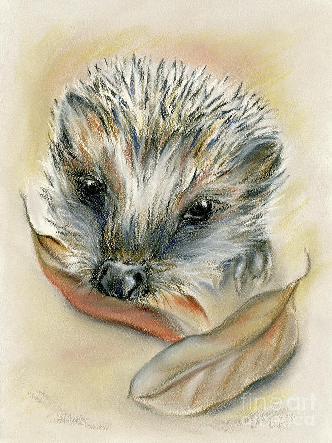 Autumn Hedgehog Pastel by MM Anderson