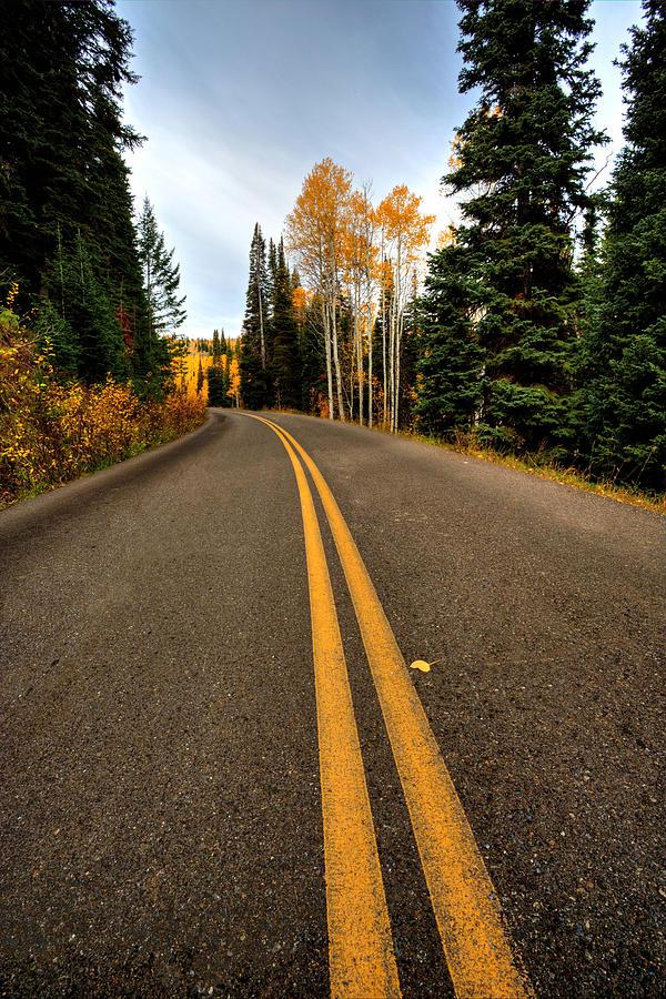 Autumn Highway Photograph by David Andersen