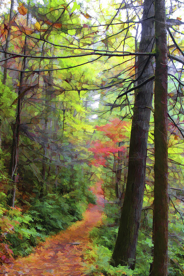 Autumn Hike Photograph by Lorraine Baum