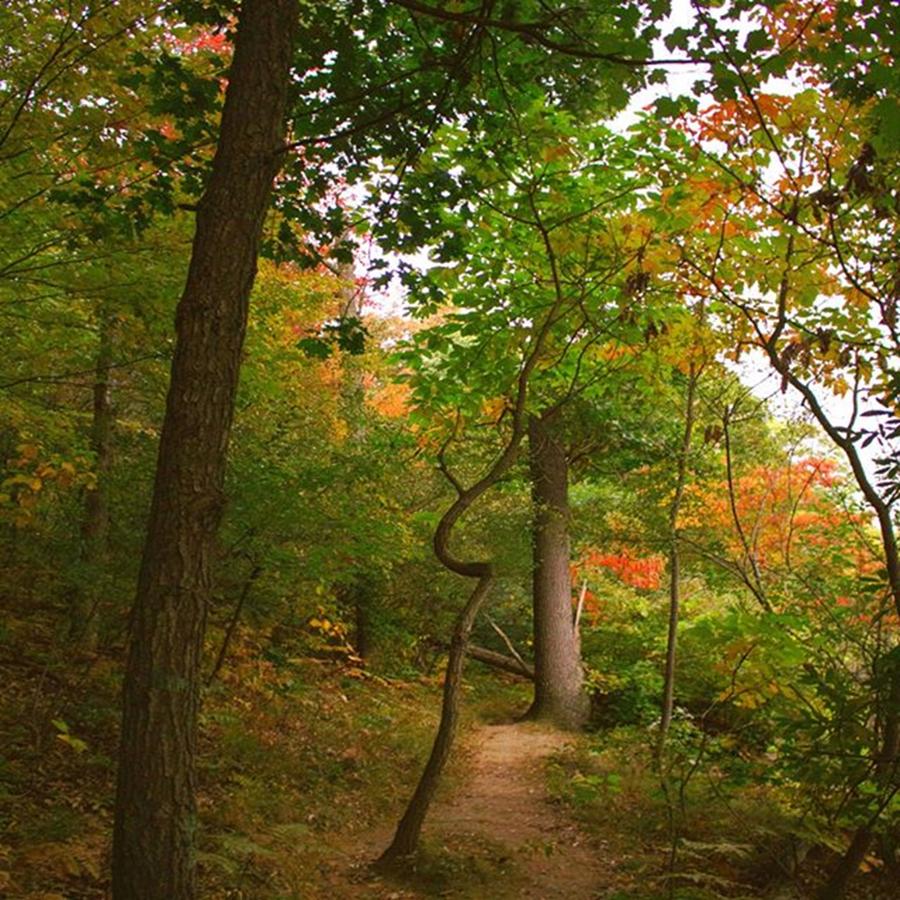 Autumn Hikes Along The Lakeshore Trail Photograph by Robert Carey