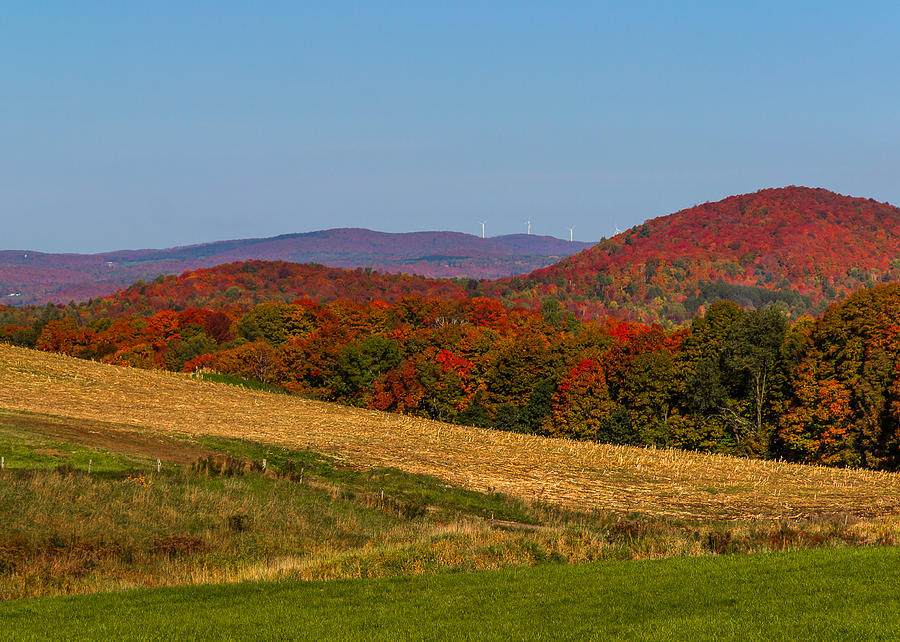 Autumn Hills of Vermont Photograph by Tim Kirchoff