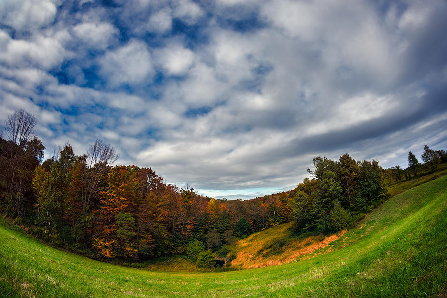 Autumn Hillside Photograph by Chris Bordeleau