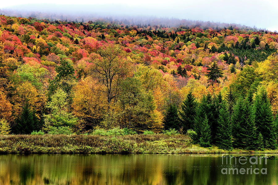 Autumn Hillside West Virginia Photograph by Thomas R Fletcher
