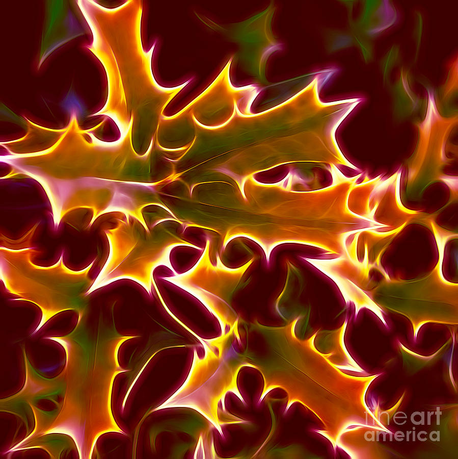 Autumn Holly Leaves Abstract Photograph by Linda Phelps