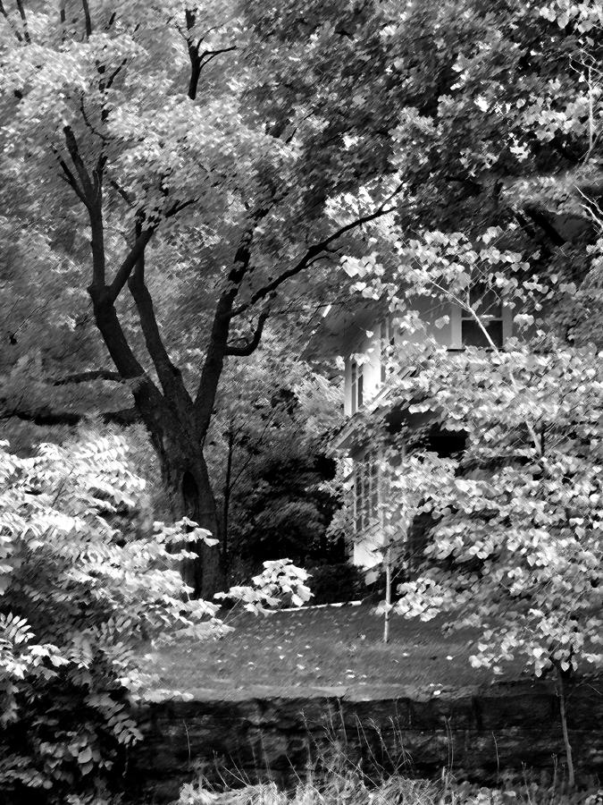 Autumn Home Black And White Photograph