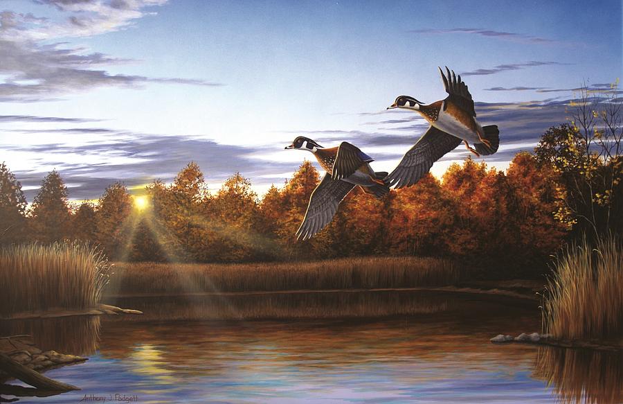 Autumn Home - Wood Ducks Painting by Anthony J Padgett