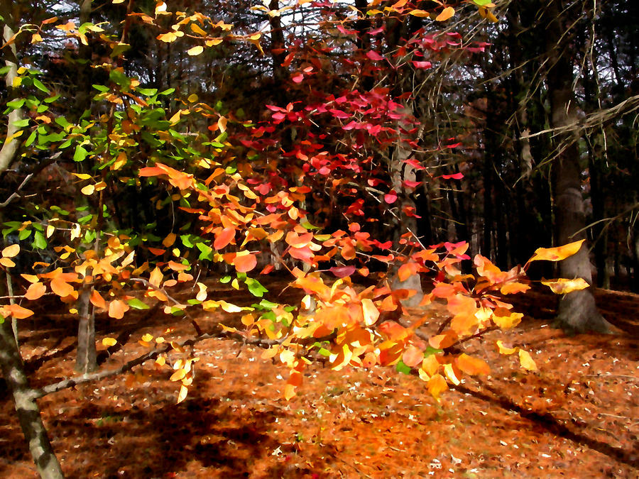 Autumn Hues Painting by Paul Sachtleben