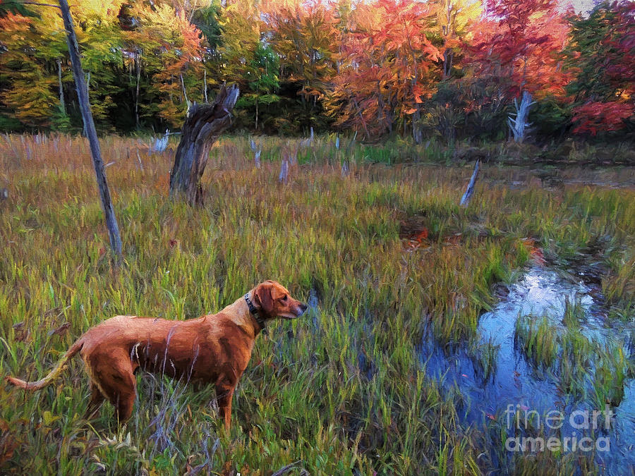 Autumn Hunt Photograph by Mim White