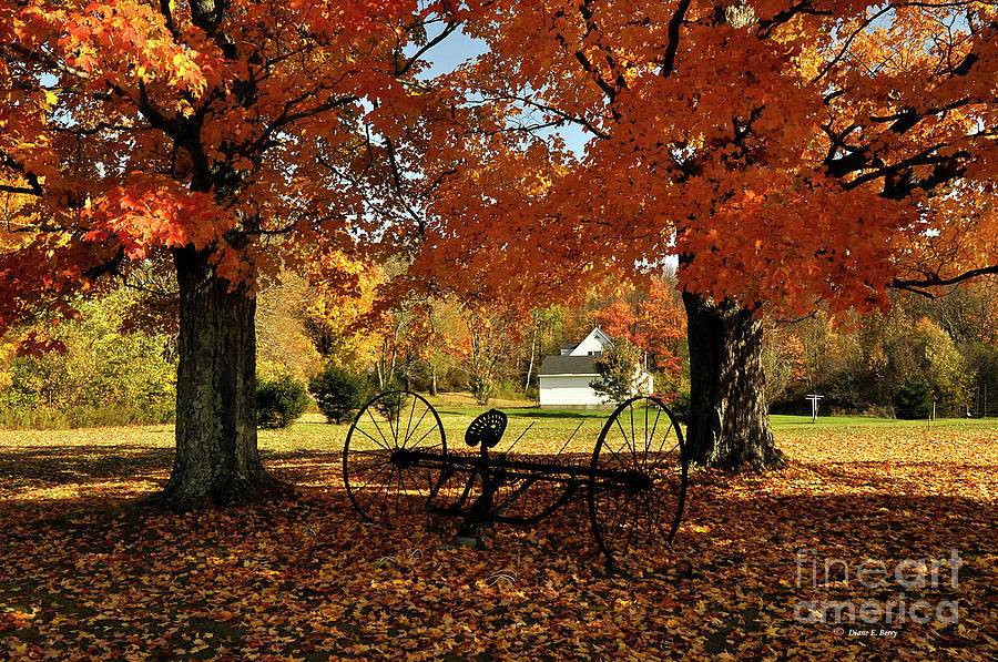 Autumn Hush Photograph by Diane E Berry