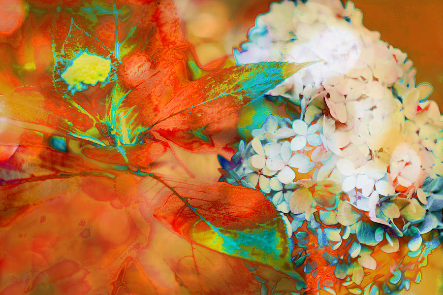 Autumn Hydrangea Burnt Orange Photograph by Suzanne Powers