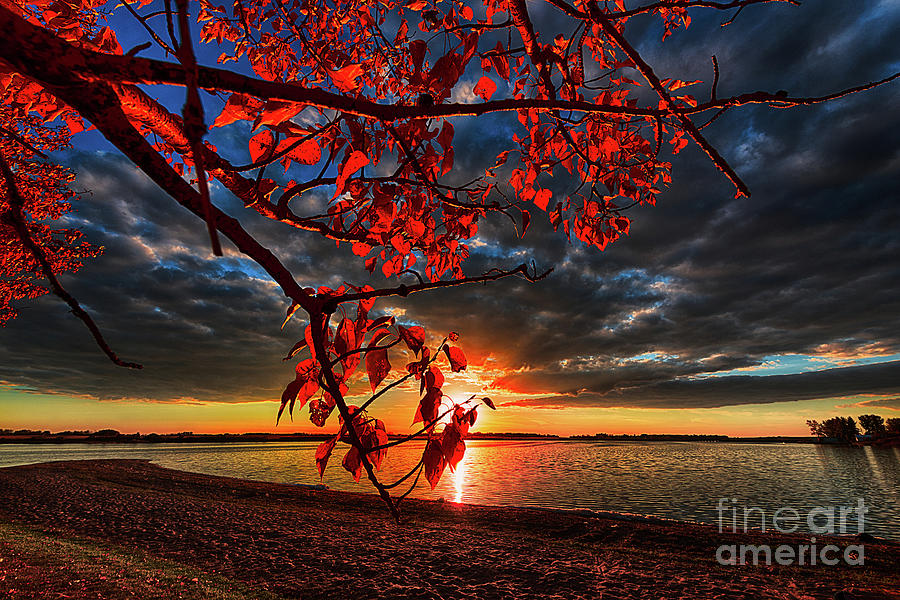 Sunset Photograph - Autumn Illumination by Ian McGregor