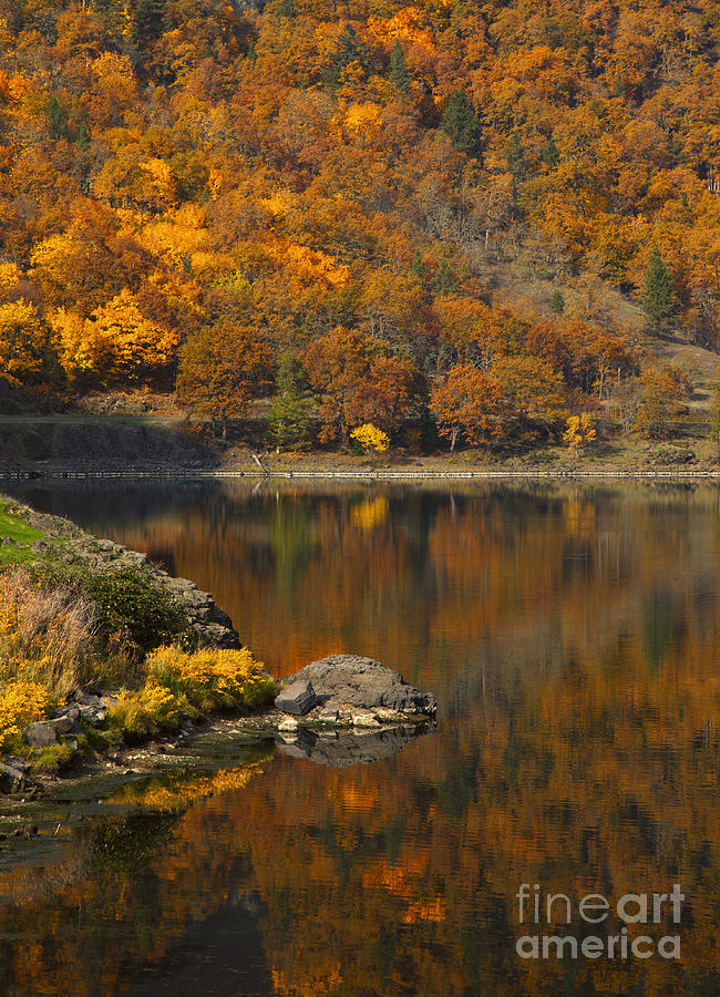 Autumn Illusion Photograph by Michael Dawson