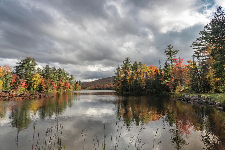 Autumn Immersion Photograph by Todd Wilkinson - Fine Art America