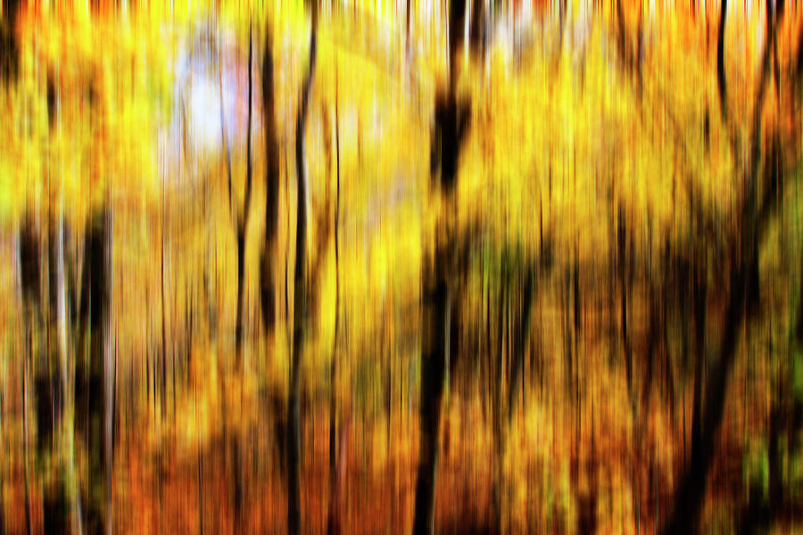 Autumn Impressions -1 Photograph by Alan Hausenflock