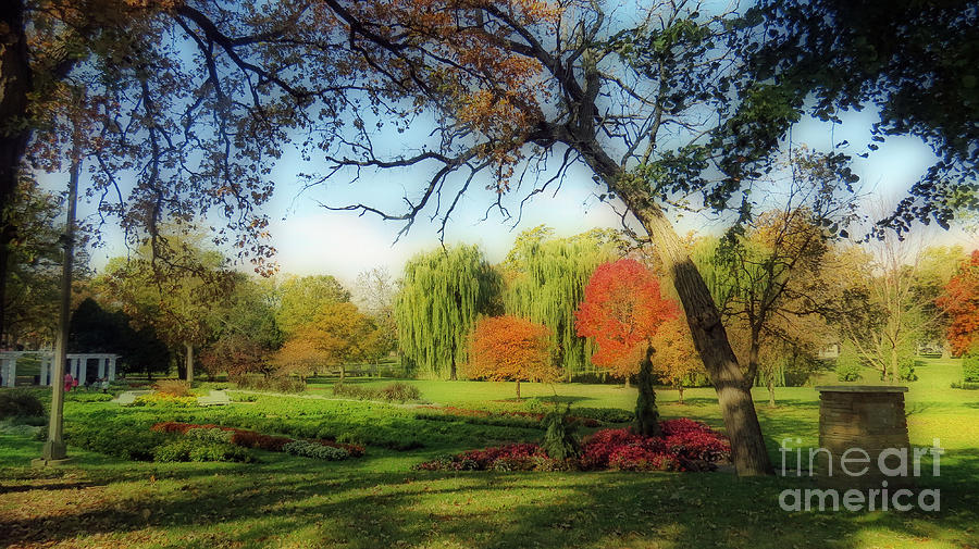 Nature Photograph - Autumn In A Beautiful Park by Kay Novy