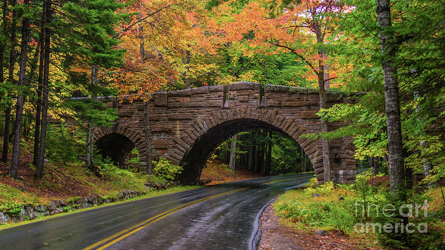 Autumn in Acadia Photograph by New England Photography