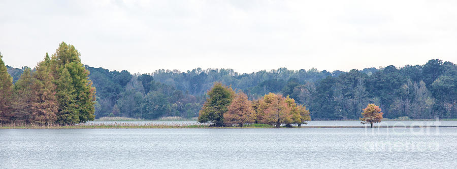 Autumn In Alabama Photograph by Felix Lai