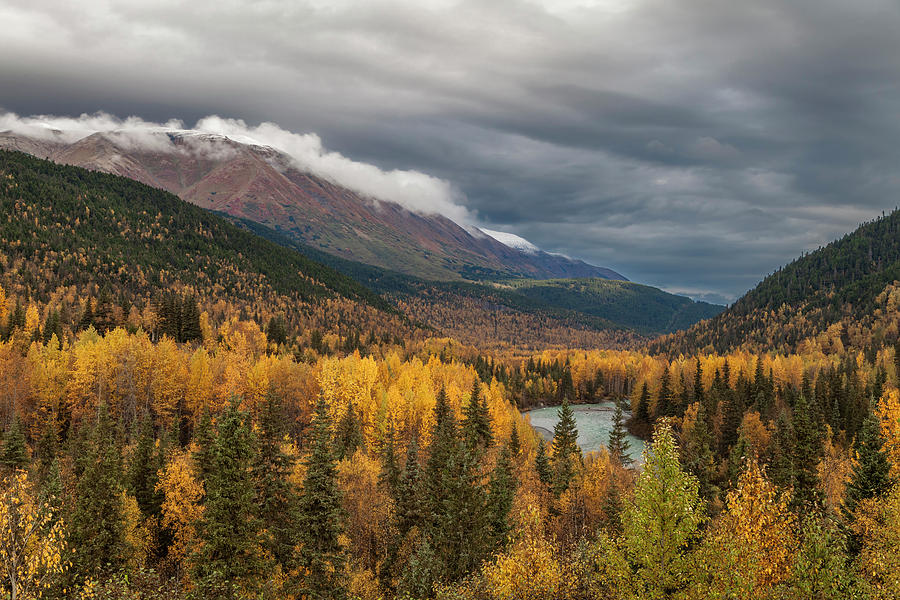 Autumn in Alaska Photograph by Scott Slone