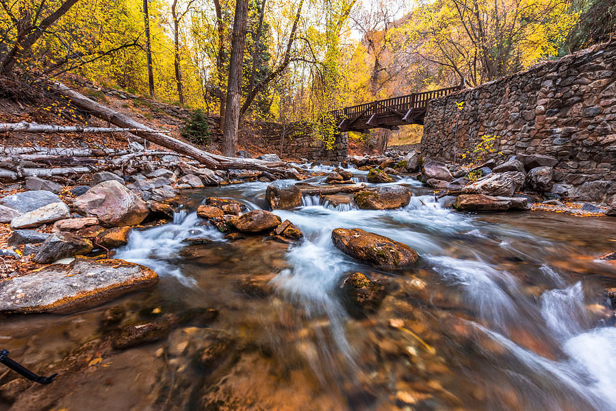 Autumn in American Fork Canyon Photograph by Scott Law