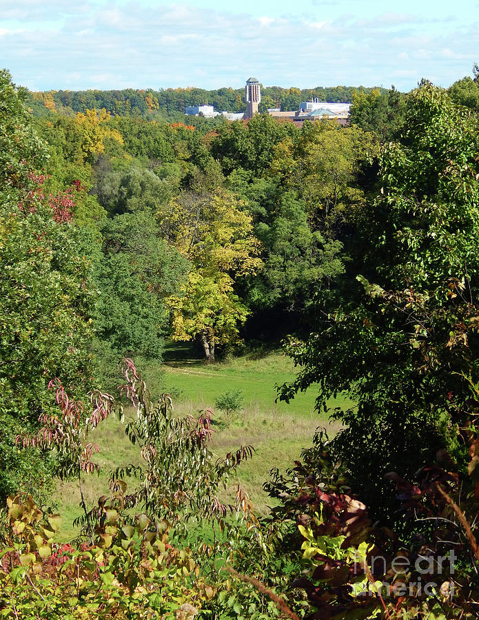 University Of Michigan Digital Art - Autumn In Ann Arbor by Phil Perkins