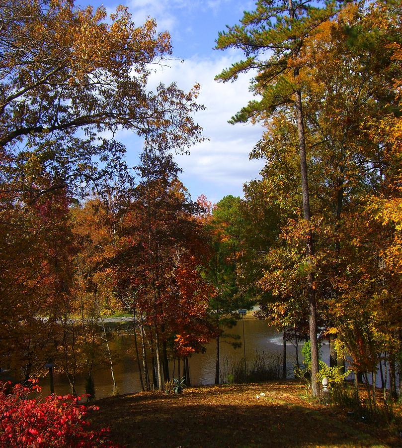 Autumn In Arkansas Photograph By Mary Ann Southern - Fine Art America