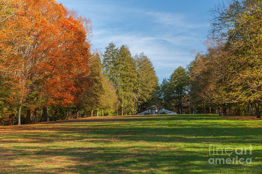 Autumn In Asheville Photograph