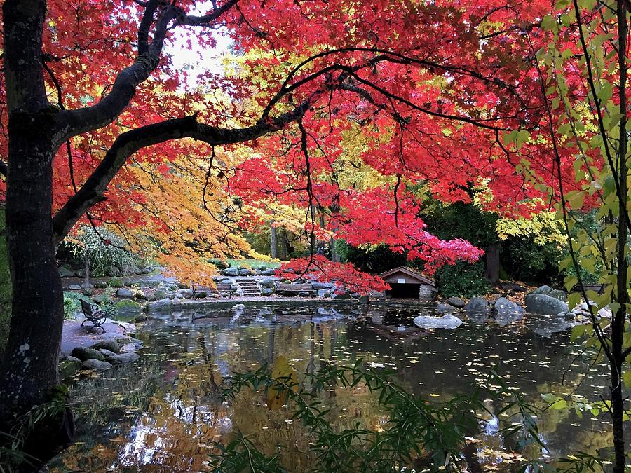 Autumn in Ashland Photograph by Dani Keating - Fine Art America