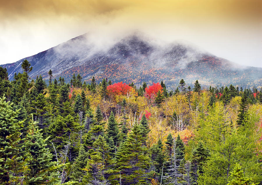 Fall Photograph - Autumn in Baxter State Park Maine by Brendan Reals