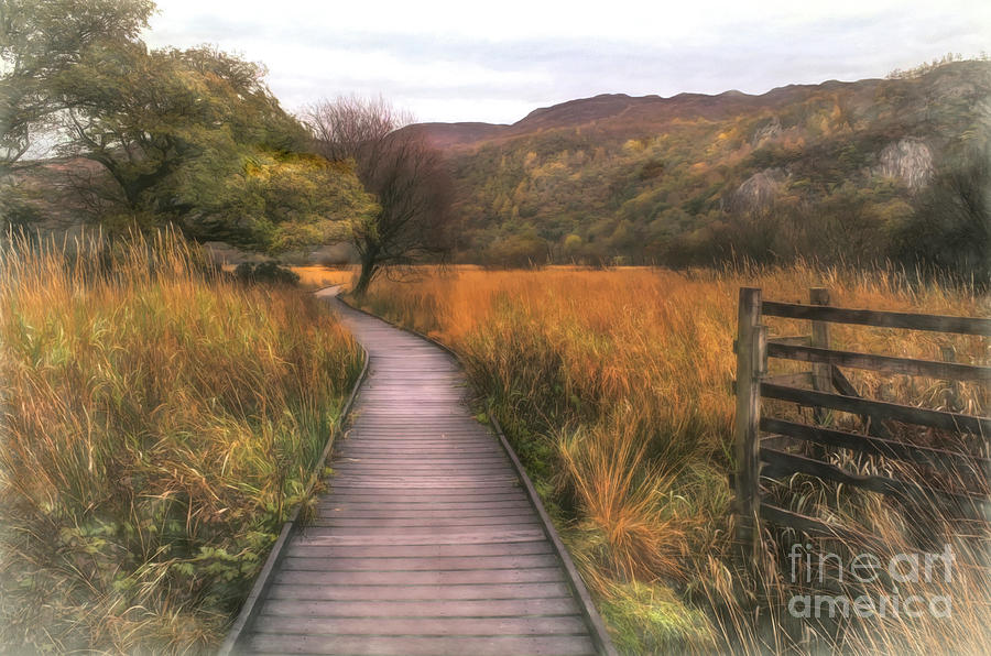 Autumn in Borrowdale, Cumbria Mixed Media by Linsey Williams